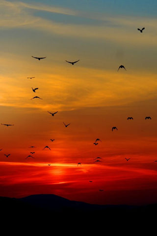 Positive Words That Start With F