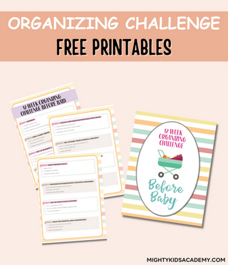 12 Week Organizing Challenge Journal (INSTANT DOWNLOAD)