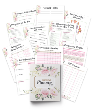 Pregnancy Planner (INSTANT DOWNLOAD)