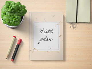Birth Plan Journal (INSTANT DOWNLOAD)