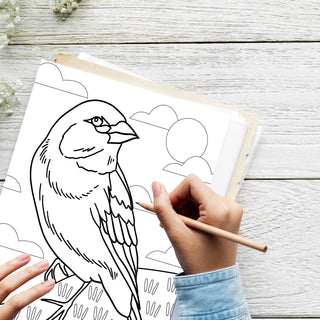 50 Charming Alabama Printable Coloring Pages For Kids & Adults (INSTANT DOWNLOAD)