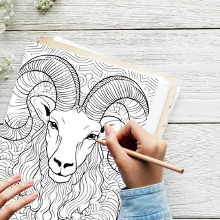 50 Awesome Aries Printable Coloring Pages For Kids & Adults (INSTANT DOWNLOAD)