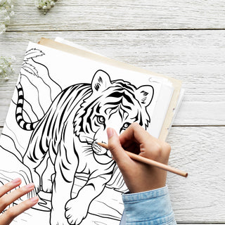 50 Baby Animal Printable Coloring Pages For Kids & Adults (INSTANT DOWNLOAD)