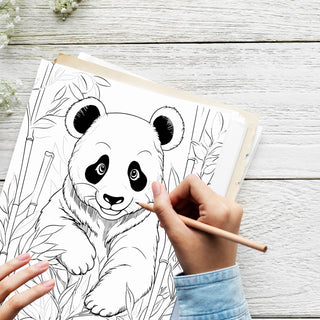 50 Bear Adventure Printable Coloring Pages For Kids & Adults (INSTANT DOWNLOAD)