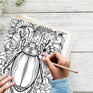 50 Colorful Bugs Printable Coloring Pages For Kids & Adults (INSTANT DOWNLOAD)