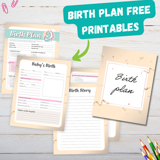 Birth Plan Journal