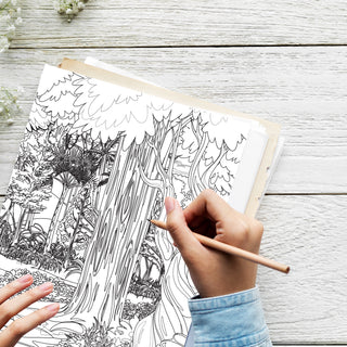 Enchanted Forest Haven Printable Coloring Pages For Kids & Adults (INSTANT DOWNLOAD)