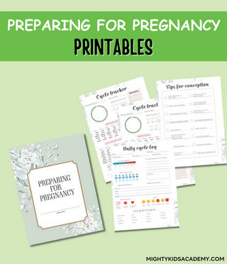 Preparing for Pregnancy Planner Journal