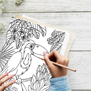 50 Vibrant Florida Printable Coloring Pages For Kids & Adults (INSTANT DOWNLOAD)