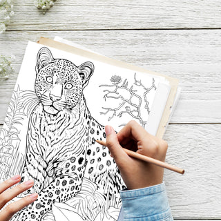 50 Graceful Cheetah Printable Coloring Pages For Kids & Adults (INSTANT DOWNLOAD)