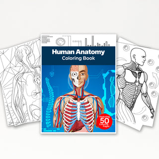 50 Human Anatomy Printable Coloring Pages For Kids & Adults (INSTANT DOWNLOAD)