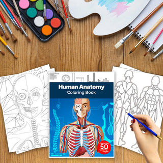 50 Human Anatomy Printable Coloring Pages For Kids & Adults (INSTANT DOWNLOAD)