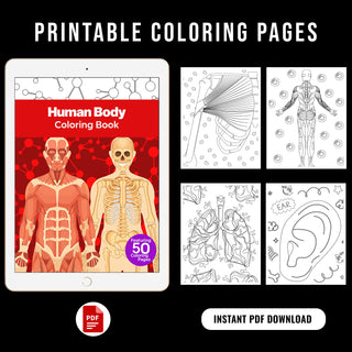 50 Detailed Human Body Printable Coloring Pages For Kids & Adults (INSTANT DOWNLOAD)