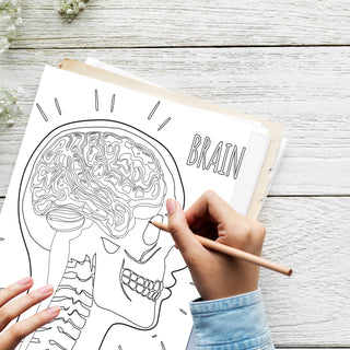 50 Detailed Human Body Printable Coloring Pages For Kids & Adults (INSTANT DOWNLOAD)