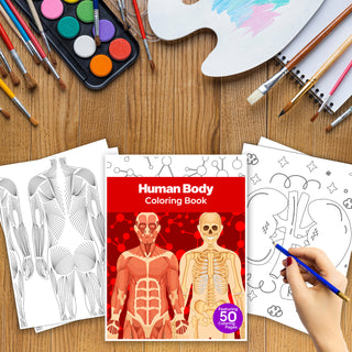 50 Detailed Human Body Printable Coloring Pages For Kids & Adults (INSTANT DOWNLOAD)