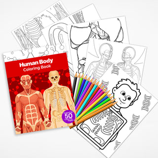 50 Detailed Human Body Printable Coloring Pages For Kids & Adults (INSTANT DOWNLOAD)