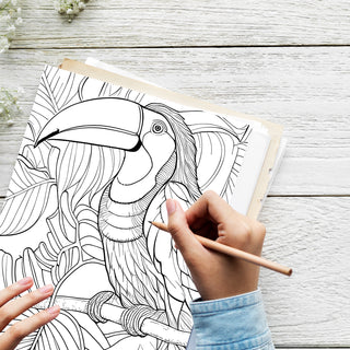 50 Exciting Safari Printable Coloring Pages For Kids & Adults (INSTANT DOWNLOAD)