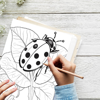 50 Lovely Ladybug Printable Coloring Pages For Kids & Adults (INSTANT DOWNLOAD)