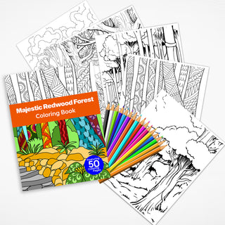 50 Majestic Redwood Forest Printable Coloring Pages For Kids & Adults (INSTANT DOWNLOAD)