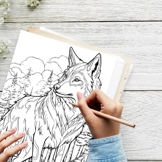 50 Mesmerizing Montana Printable Coloring Pages For Adults & Kids (INSTANT DOWNLOAD)