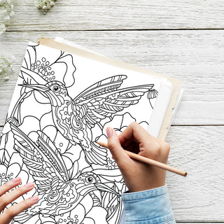 50 Whimsical Hummingbirds Printable Coloring Pages For Kids And Adults (INSTANT DOWNLOAD)