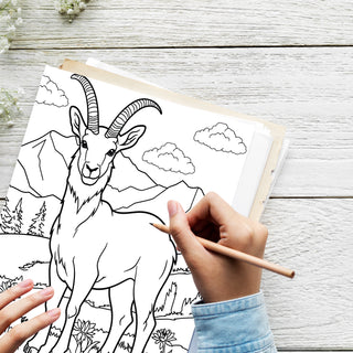 50 Amazing Wyoming Printable Coloring Pages For Kids & Adults (INSTANT DOWNLOAD)