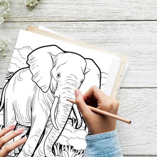 50 Zoo Adventure Printable Coloring Pages For Kids & Adults (INSTANT DOWNLOAD)