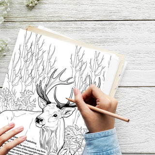 50 Tranquil Wildlife Printable Coloring Pages For Kids & Adults (INSTANT DOWNLOAD)