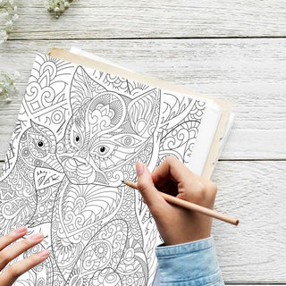 50 Playful Cat Companion Printable Coloring Pages For Kids & Adults (INSTANT DOWNLOAD)