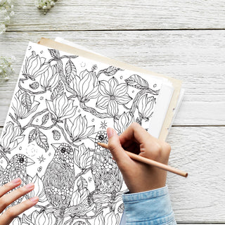 50 Serene Bird Printable Coloring Pages For Kids & Adults (INSTANT DOWNLOAD)