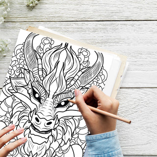 50 Mystical Dragon Printable Coloring Pages For Kids & Adults (INSTANT DOWNLOAD)